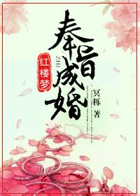 秦功全文免费