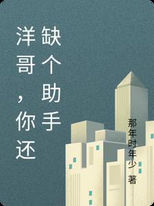 联合国议事规则正确顺序