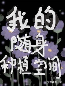 乱世皇太子朱慈烺崇祯免费阅读
